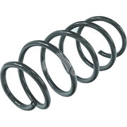 Пружина подвески XAS1176