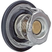 Термостат TVZ1793