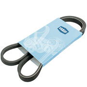 Ремень поликлиновой RRB2025